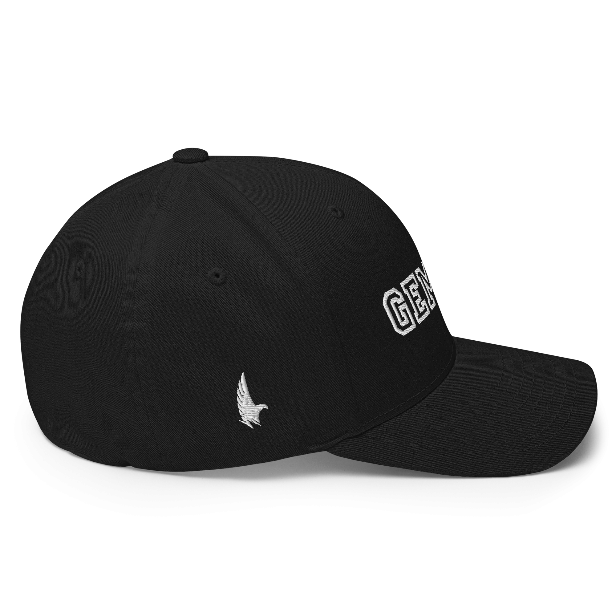 Gemini Legacy Fitted Hat